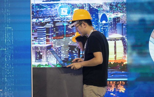 公务员考试青睐的三大热门专业 网络与信息安全、软件开发受追捧