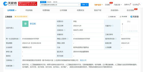 筑牢数字时代的防线 网络与信息安全软件开发的核心与实践